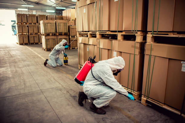 Best Emergency Pest Control  in Neenah, WI
