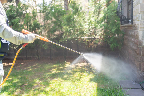 Best Best Pest Control Companies  in Neenah, WI