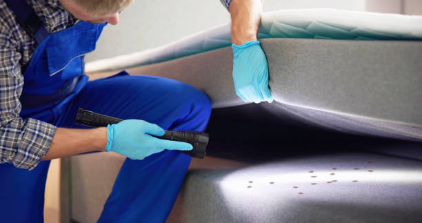 Best Flea Control Services  in Neenah, WI