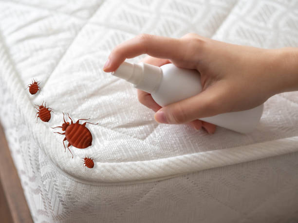  Neenah, WI Pest Control Pros